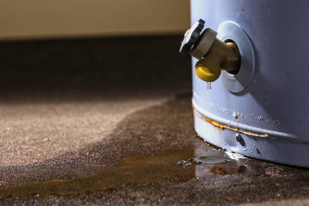 Best Mold removal after water damage  in New Burlington, OH
