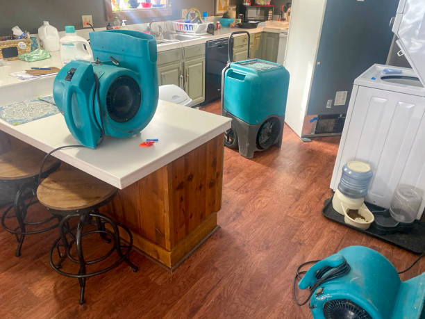 Best Sewage cleanup and water damage restoration  in New Burlington, OH