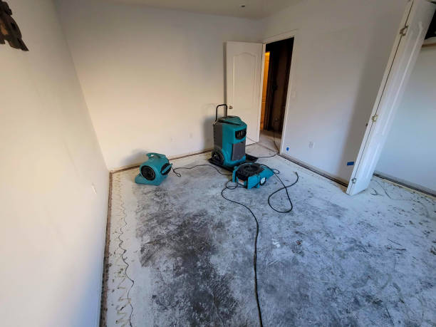 Best Basement water damage restoration  in New Burlington, OH
