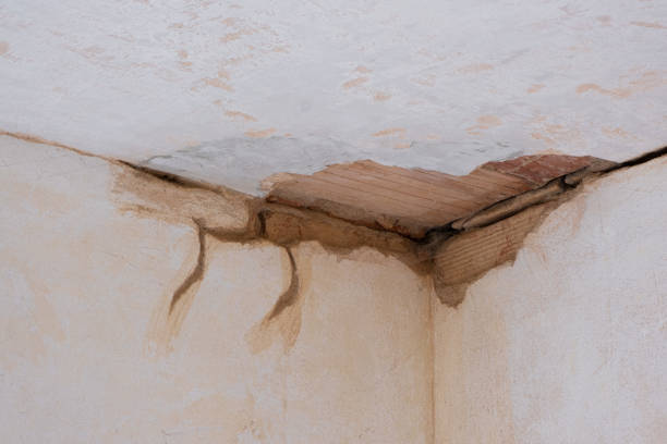 Best Sewage cleanup and water damage restoration  in New Burlington, OH