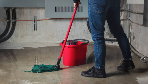 Best Water damage restoration process  in New Burlington, OH