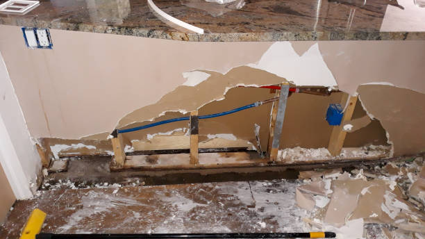 Best Water damage restoration services  in New Burlington, OH