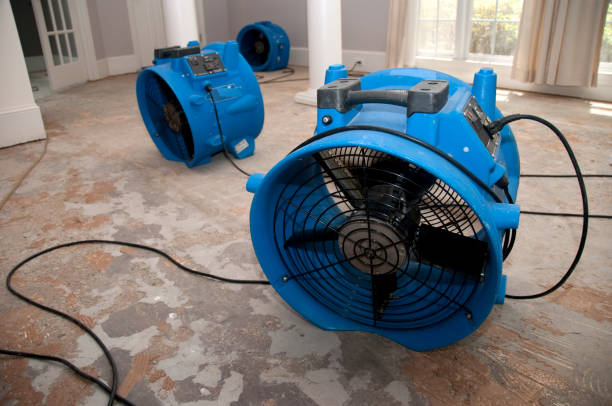 Best Commercial water damage restoration  in New Burlington, OH