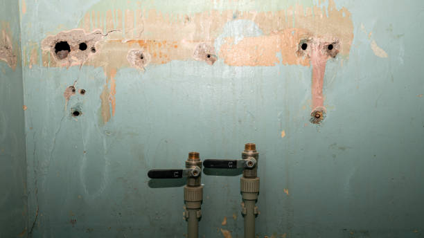 Best Local water damage restoration  in New Burlington, OH