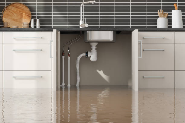 Best Water damage repair service  in New Burlington, OH