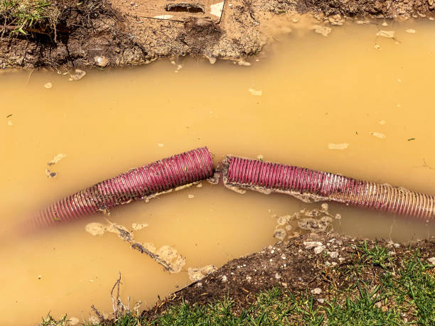 Best Water damage restoration insurance claims  in New Burlington, OH