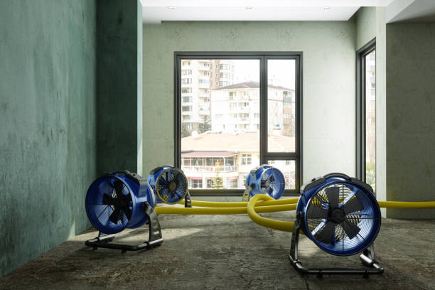 Water damage restoration insurance claims in New Burlington, OH